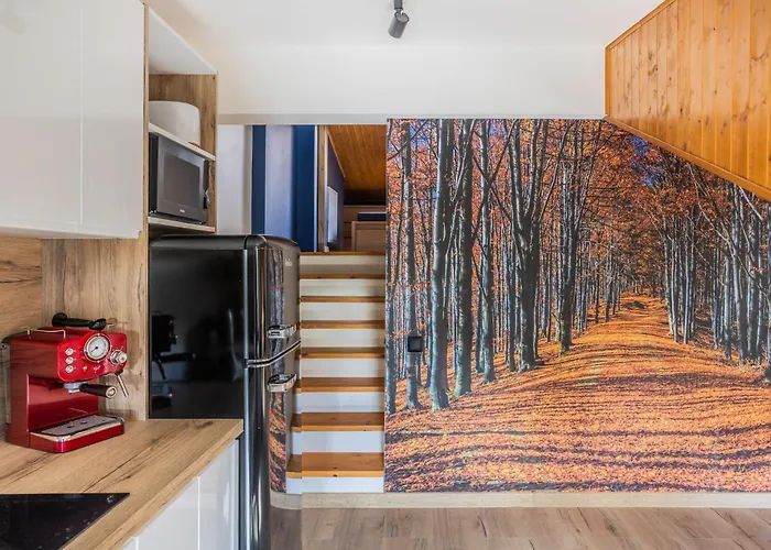 Rowelovebb * ביילסקו-ביאלה